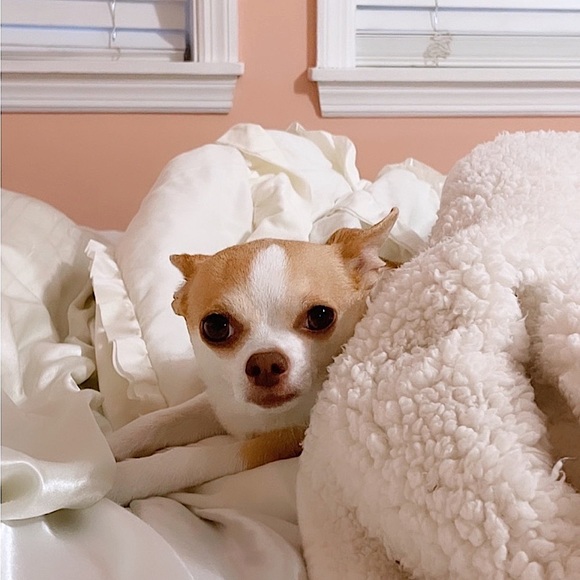 Hi, Nice to Meet You ππ€ - Picture 4 of 4